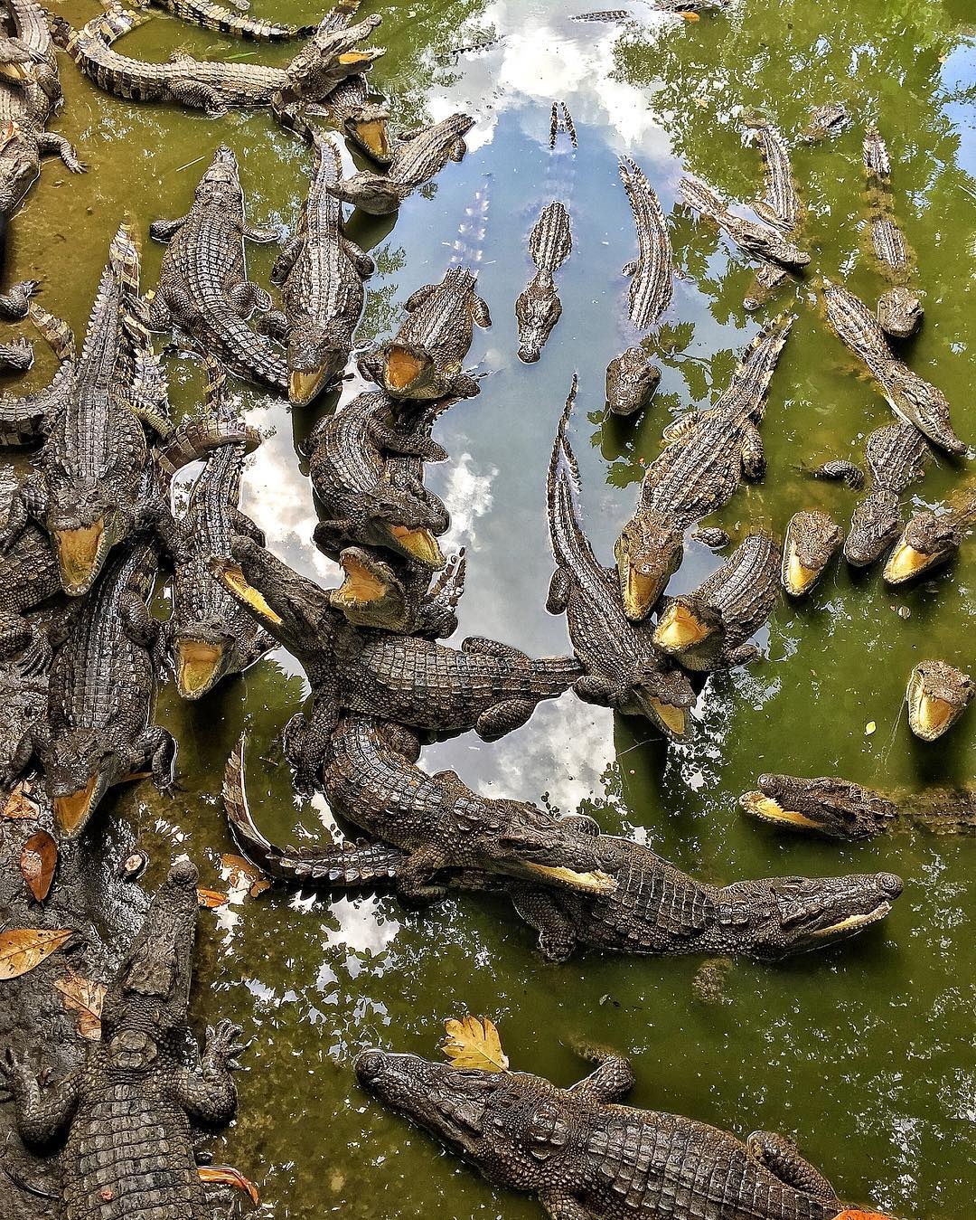 du lich mien Tay anh 6