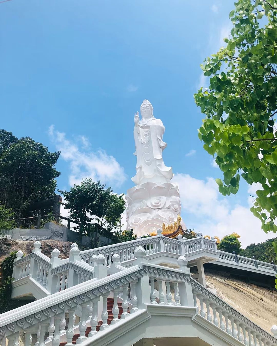 thien vien truc lam anh 21