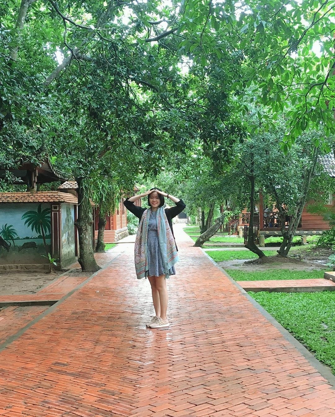 thien vien truc lam anh 5