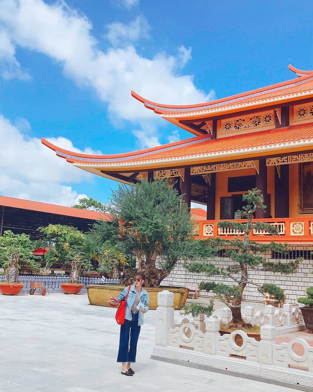 thien vien truc lam anh 13