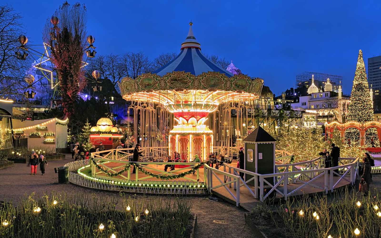 cho Giang sinh anh 7