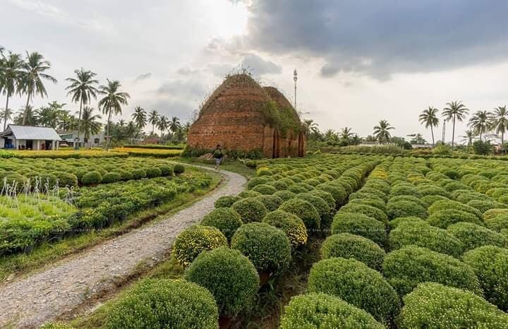 Làng hoa miền Tây ảnh 5 Lang hoa mien Tay anh 5