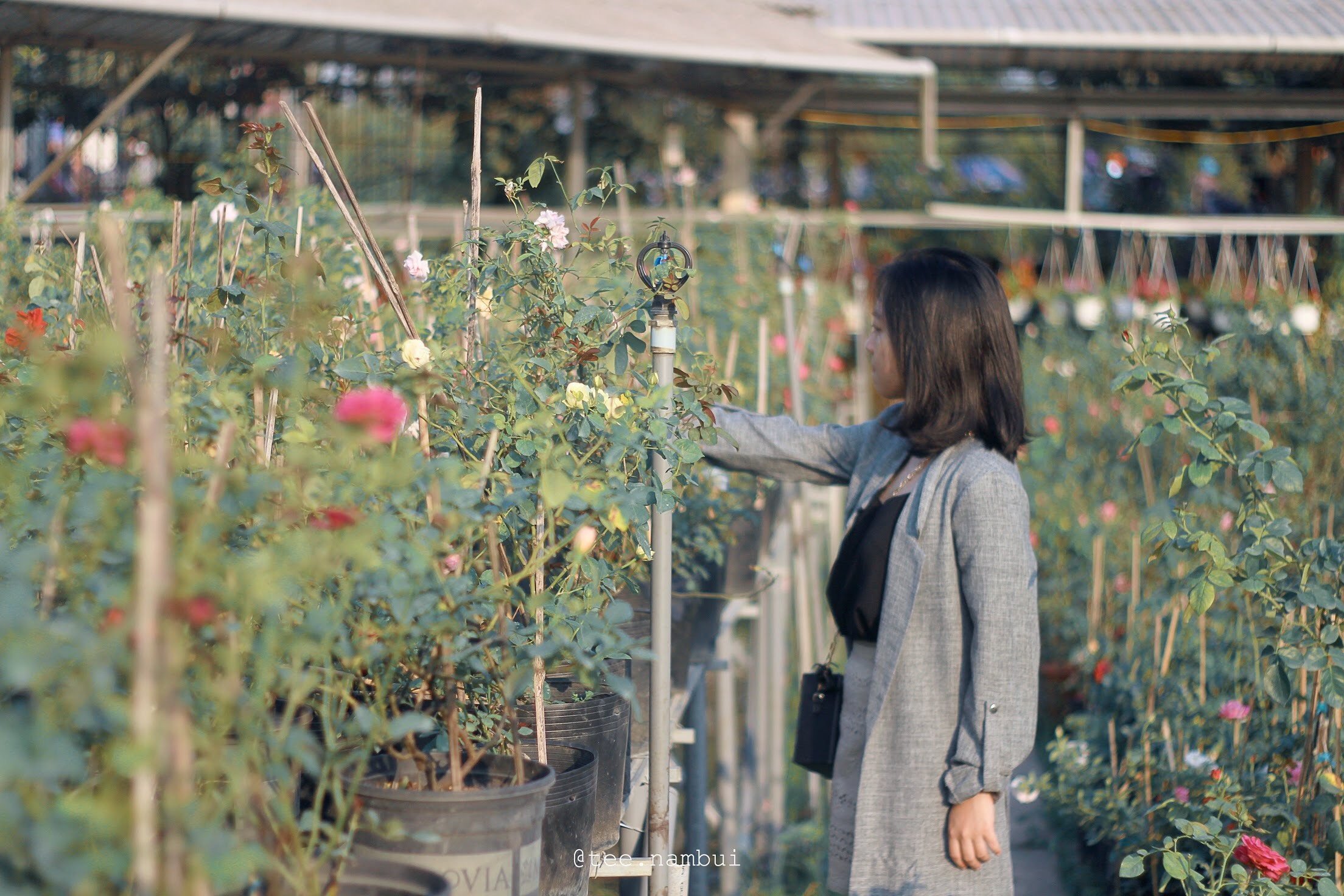 Lang hoa mien Tay anh 13