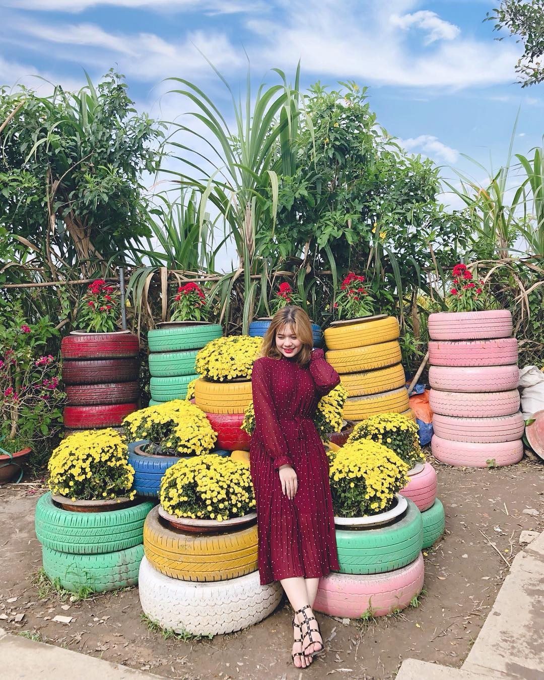 Làng hoa miền Tây ảnh 4 Lang hoa mien Tay anh 4