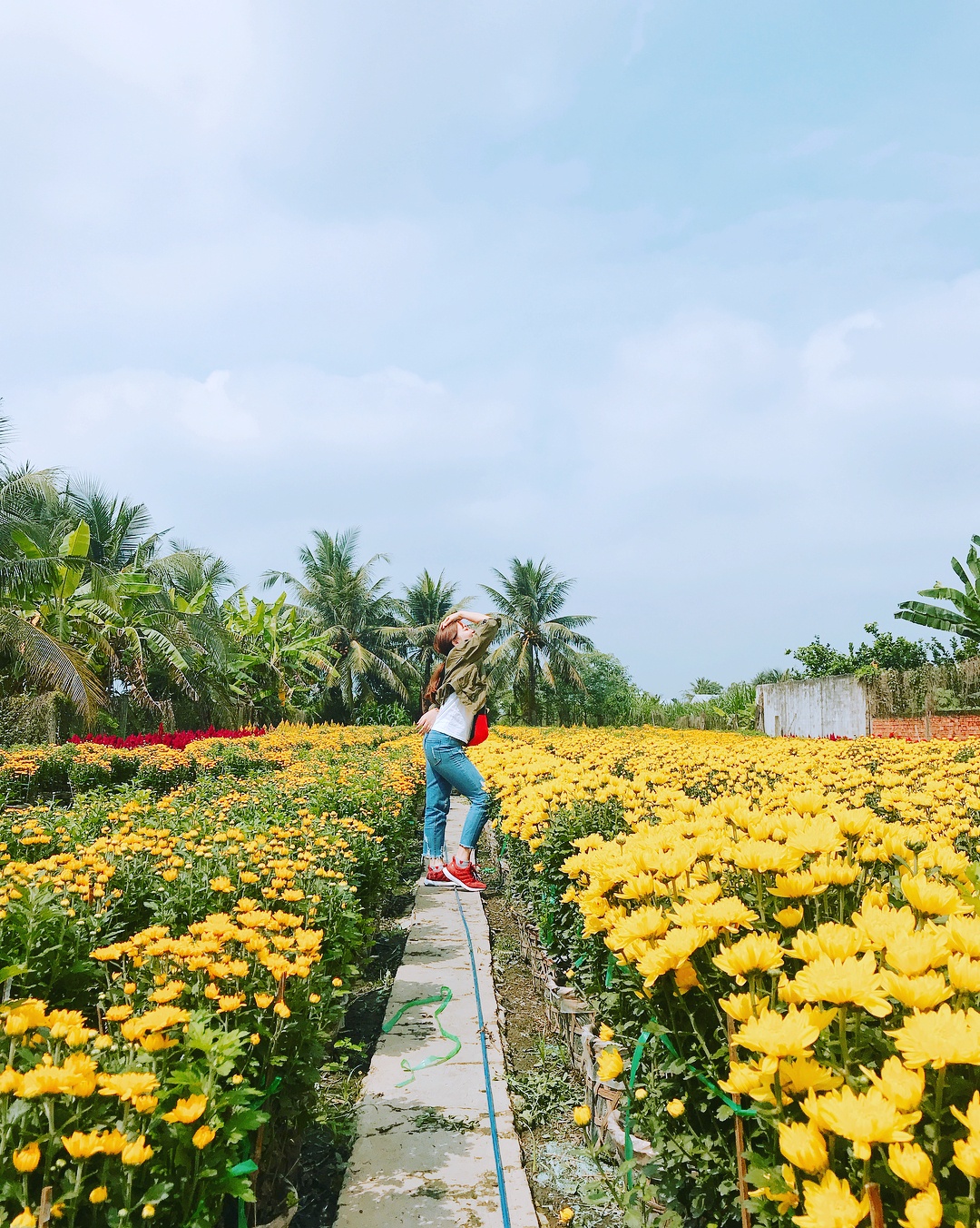 Làng hoa miền Tây ảnh 11 Lang hoa mien Tay anh 11