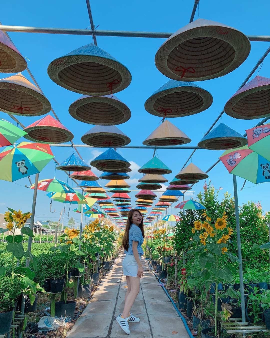 Làng hoa miền Tây ảnh 3 Lang hoa mien Tay anh 3