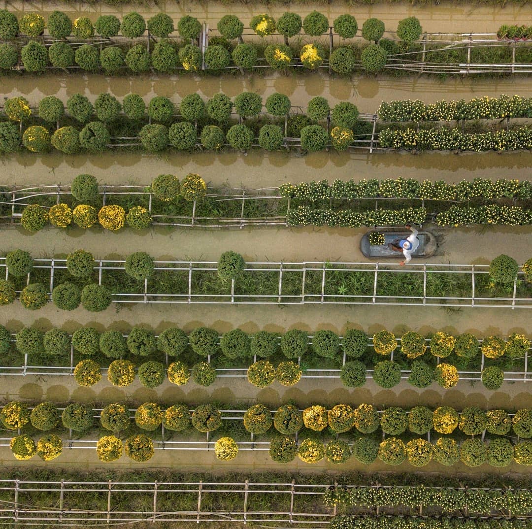 Làng hoa miền Tây ảnh 1 Lang hoa mien Tay anh 1