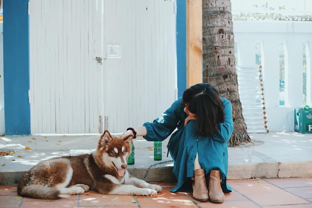 homestay nha trang ảnh 11 homestay nha trang anh 11