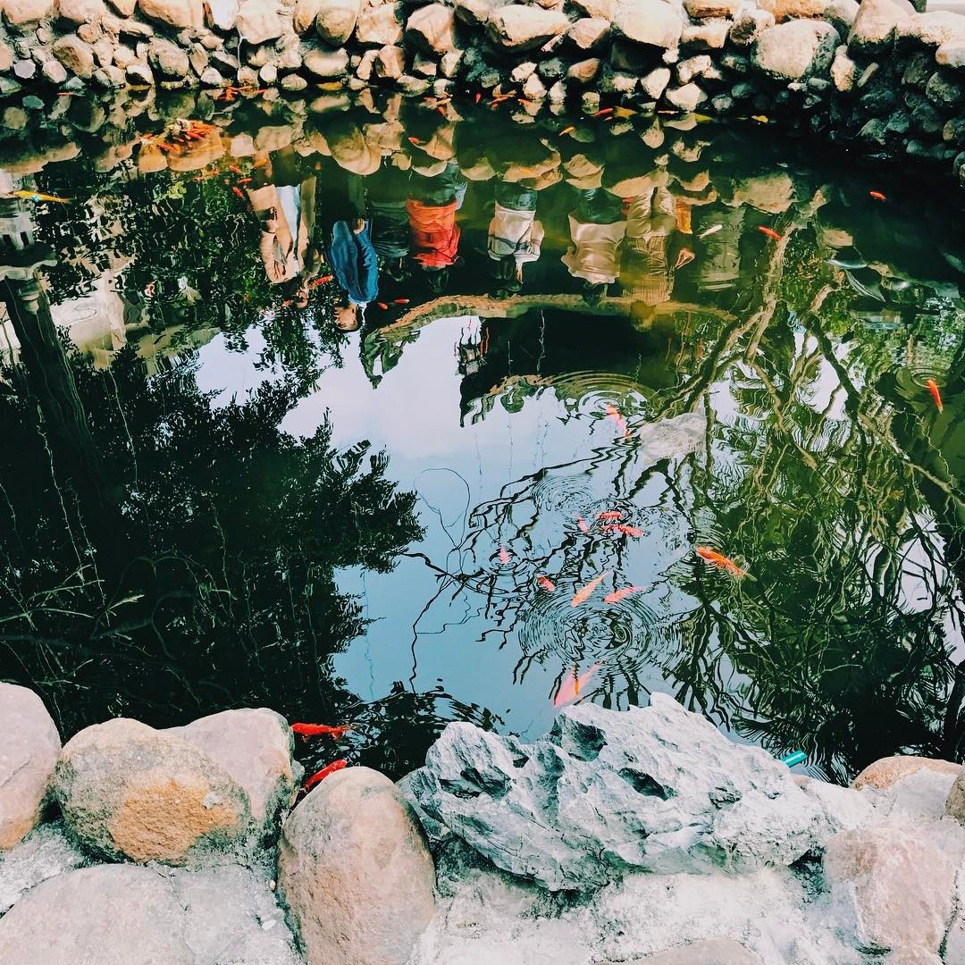 lễ chùa đầu năm hà nội ảnh 26 le chua dau nam ha noi anh 26