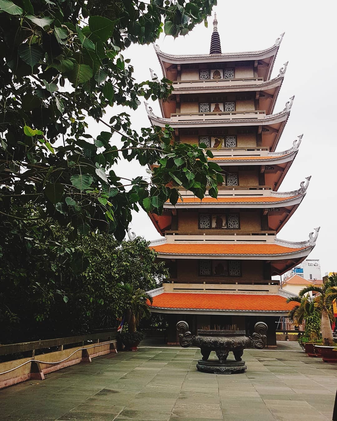 di chua dau nam anh 9