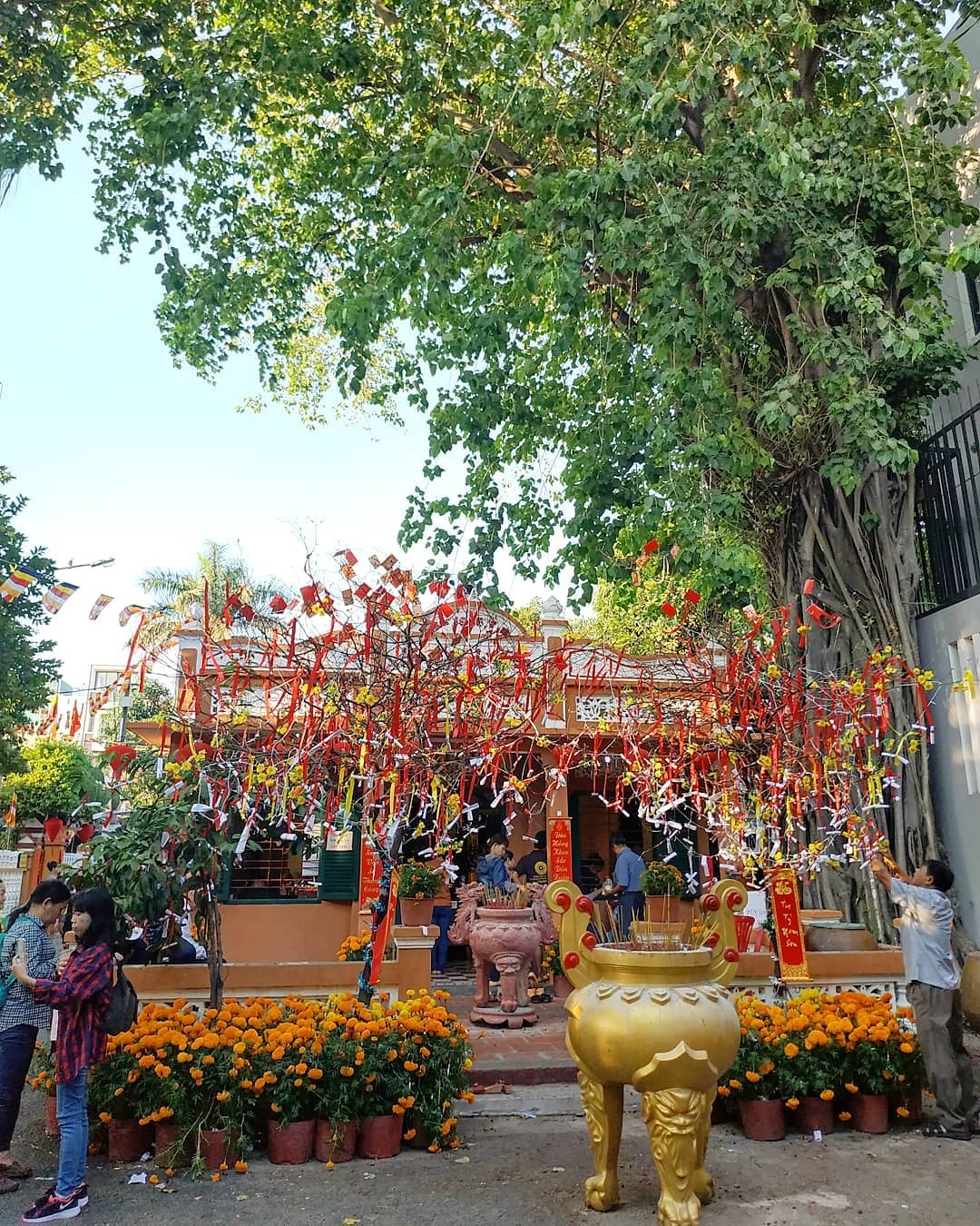 di chua dau nam anh 5