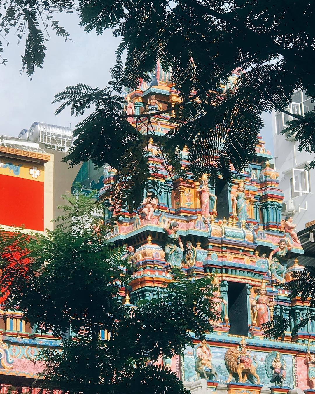 di chua dau nam anh 11