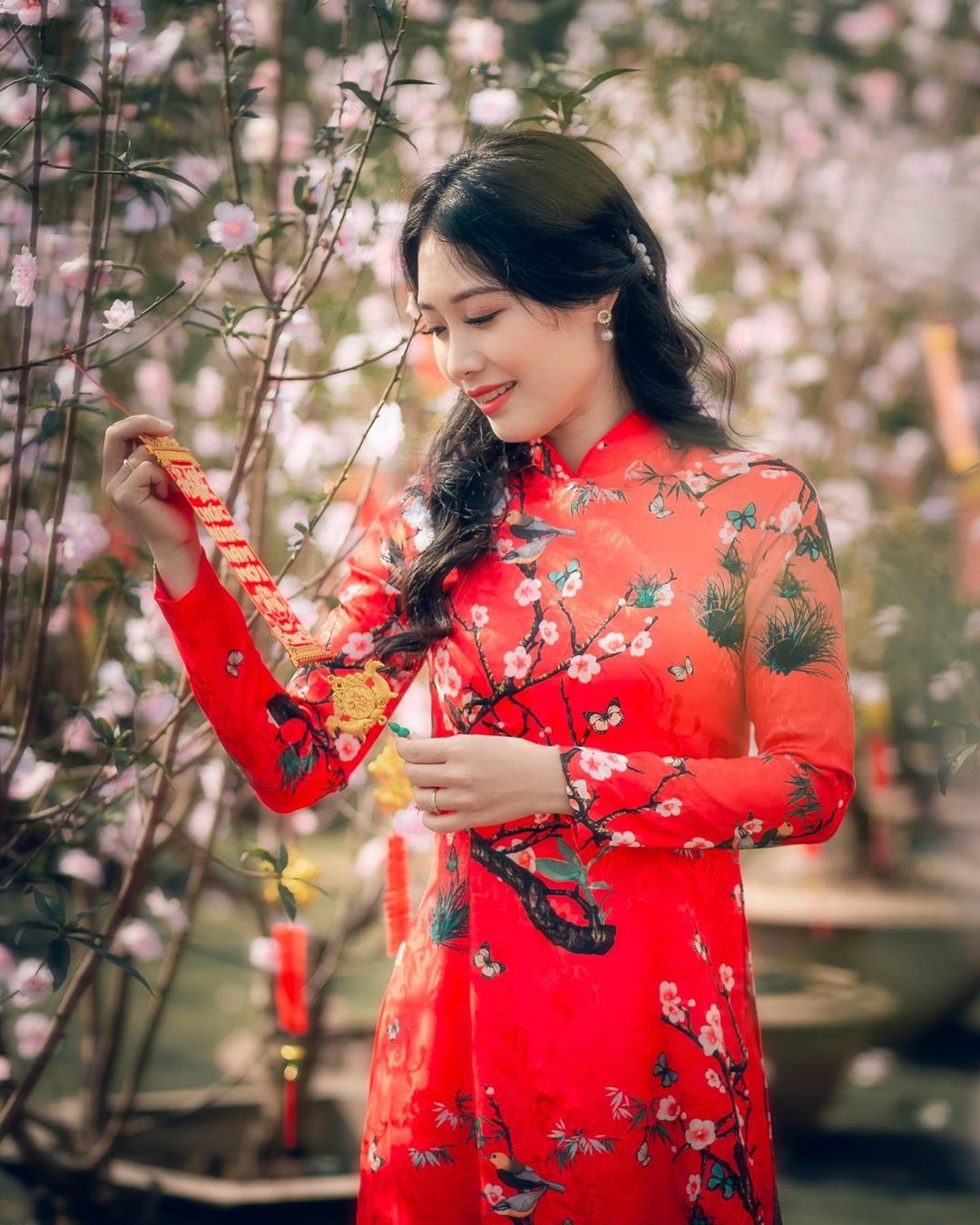 vườn hoa Hà Nội ảnh 5 vuon hoa Ha Noi anh 5