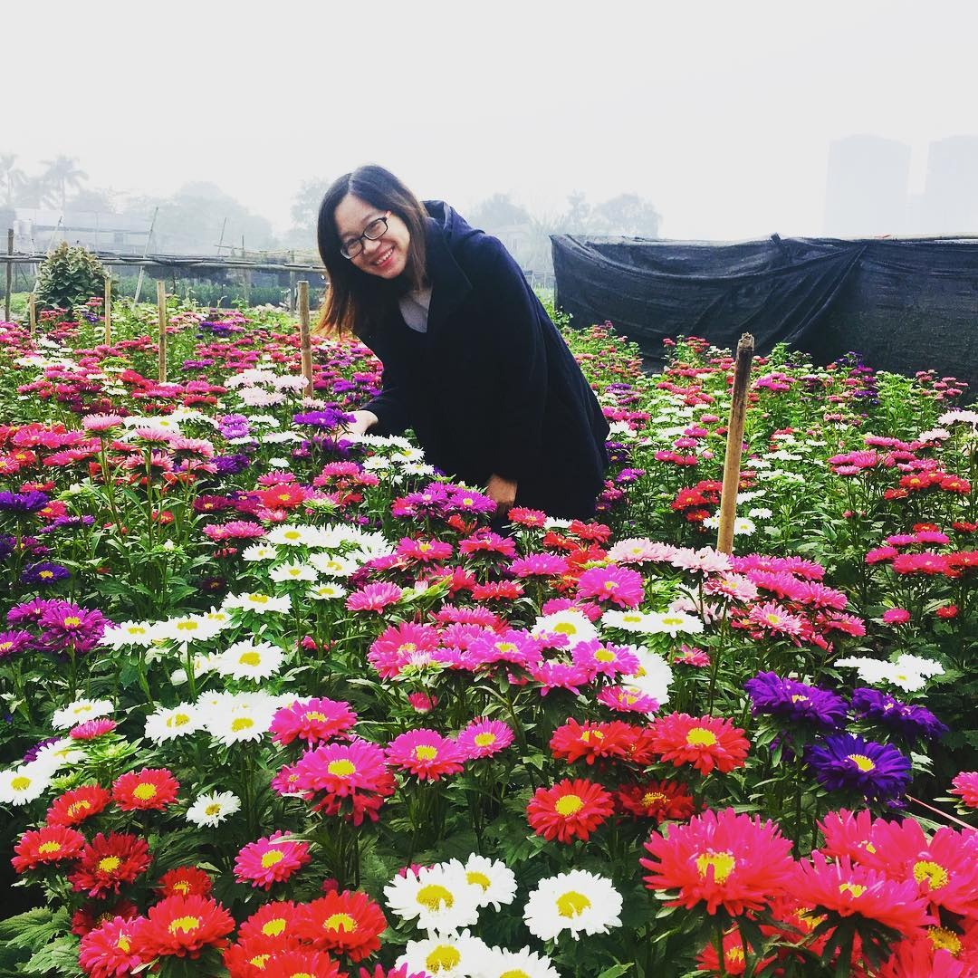 vườn hoa Hà Nội ảnh 11 vuon hoa Ha Noi anh 11
