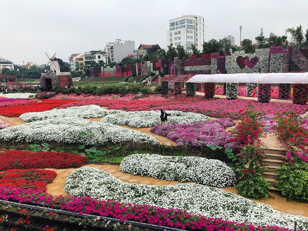 vườn hoa Hà Nội ảnh 18 vuon hoa Ha Noi anh 18