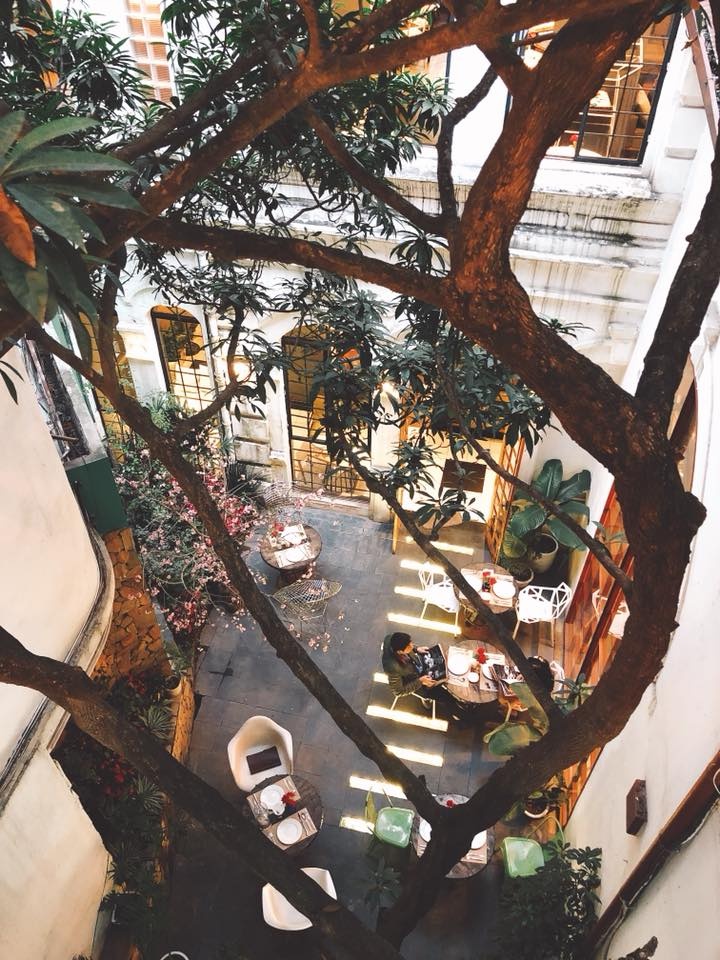 quán cà phê mở xuyên Tết ảnh 4 quan ca phe mo xuyen Tet anh 4