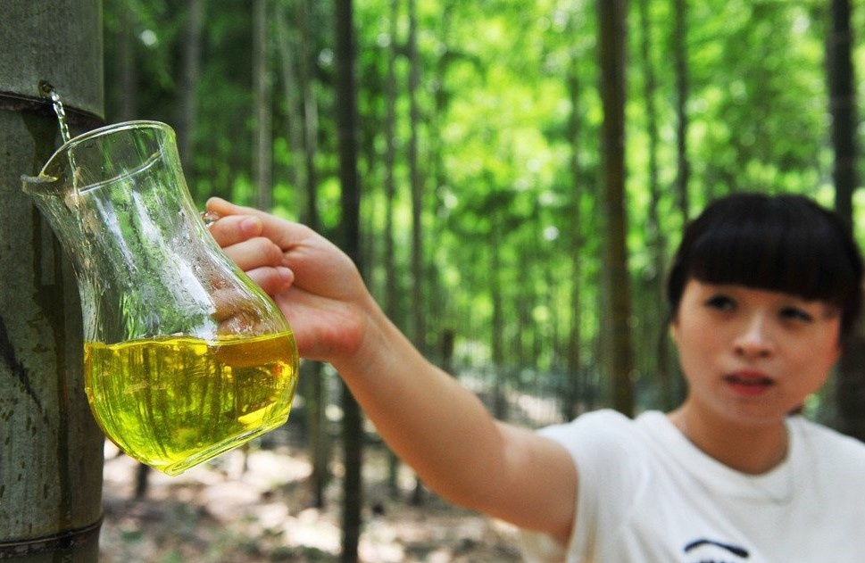 Kham pha ky thuat u ruou trong than tre cua Trung Quoc hinh anh