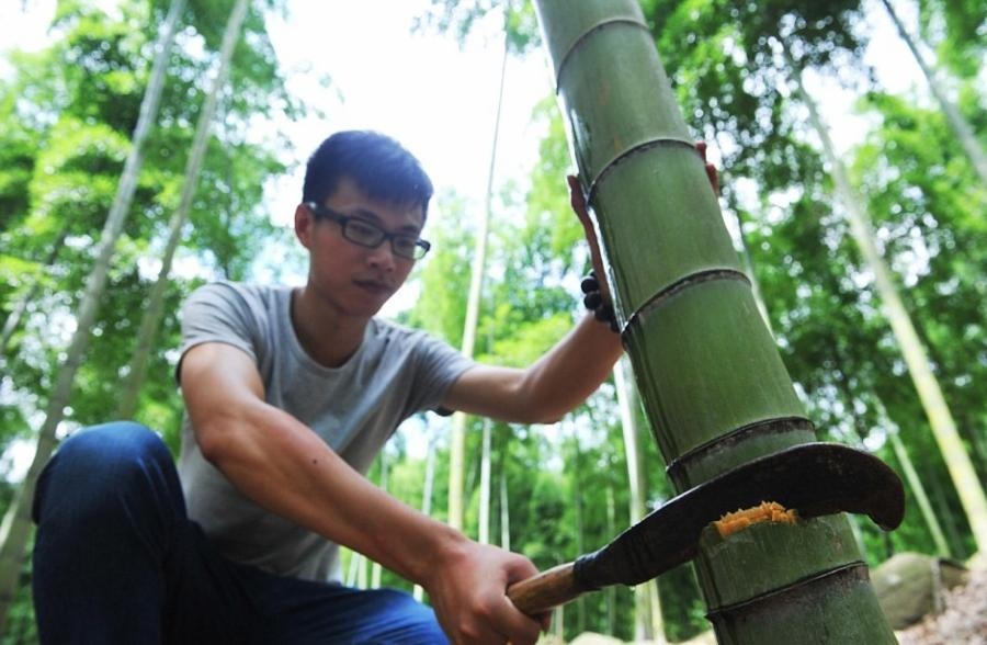 ruou u than tre anh 5