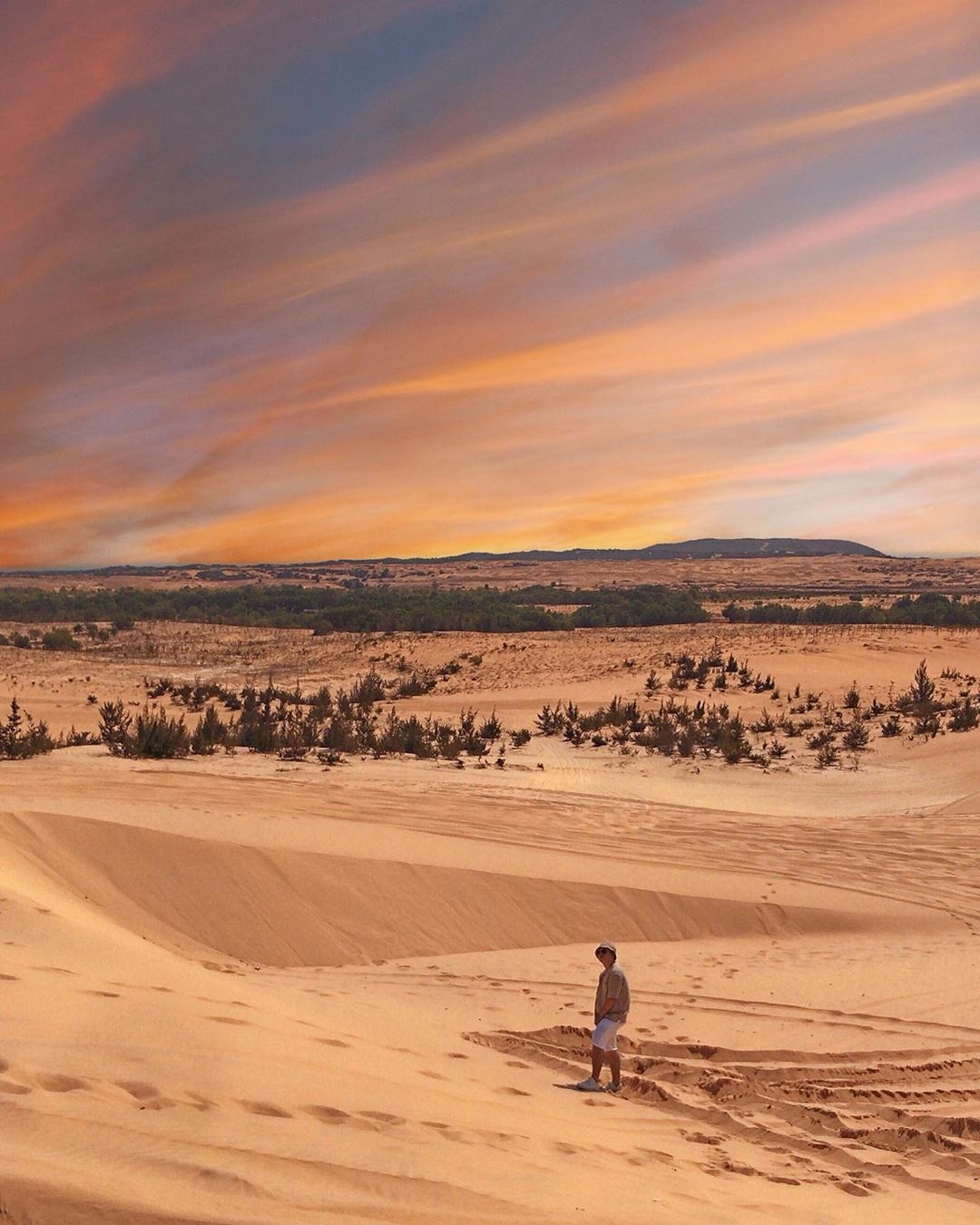 đồi cát miền Trung ảnh 6 doi cat mien Trung anh 6