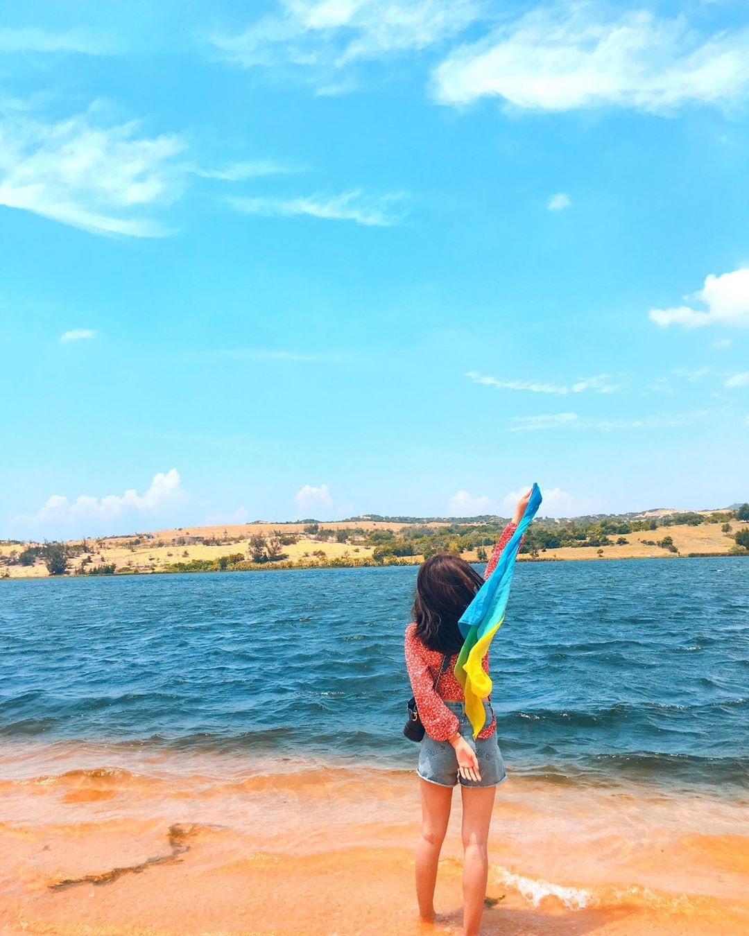 đồi cát miền Trung ảnh 16 doi cat mien Trung anh 16