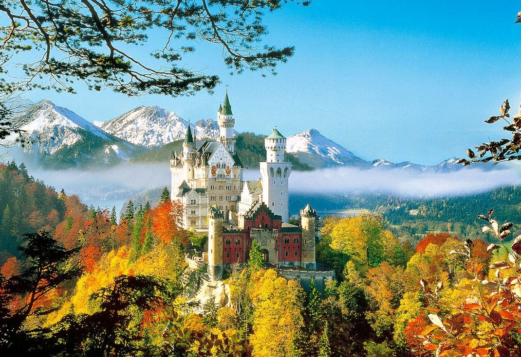 Lau dai cua 'Nguoi dep ngu trong rung' ngoai doi thuc hinh anh