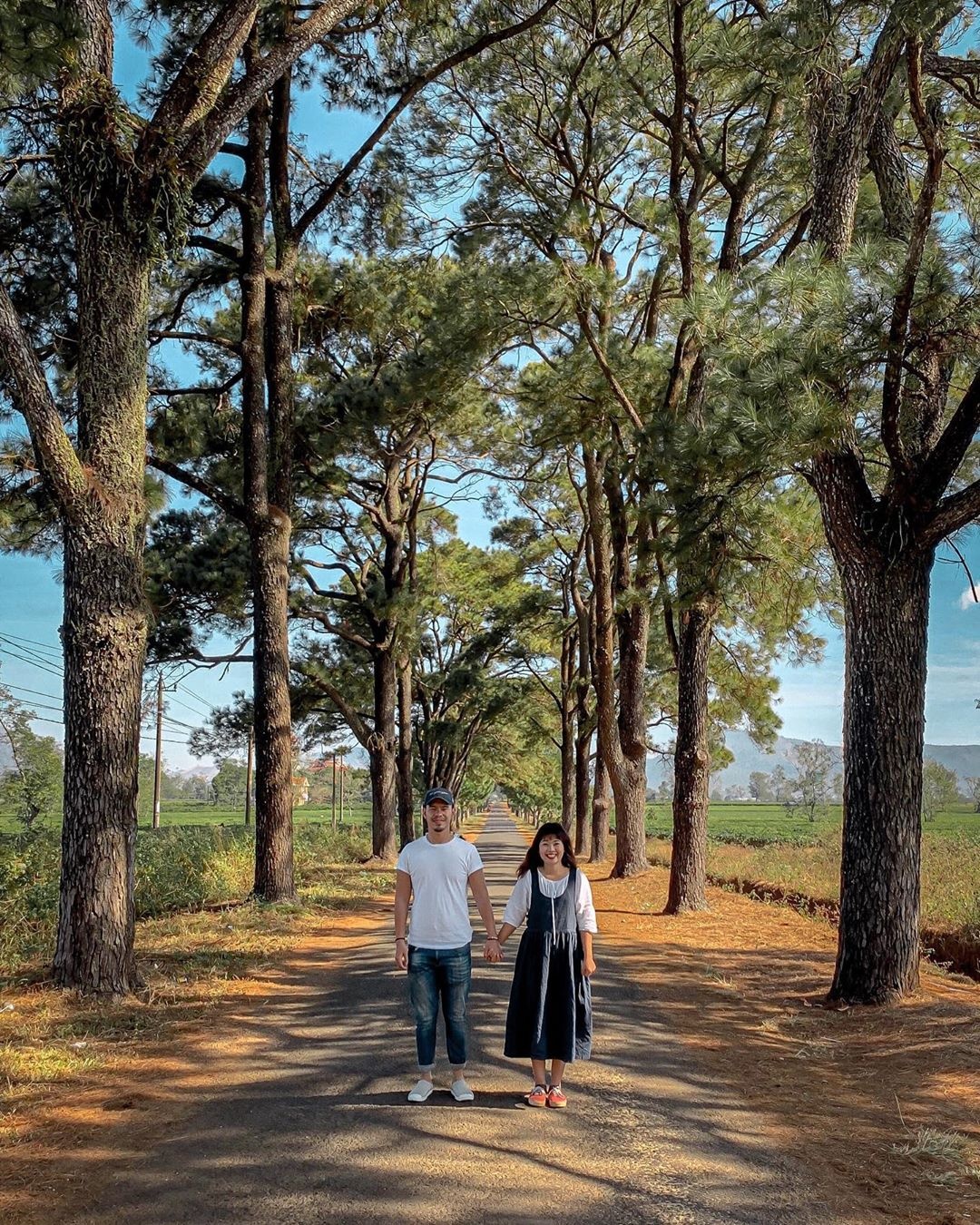 du lịch Gia Lai ảnh 18 du lich Gia Lai anh 18