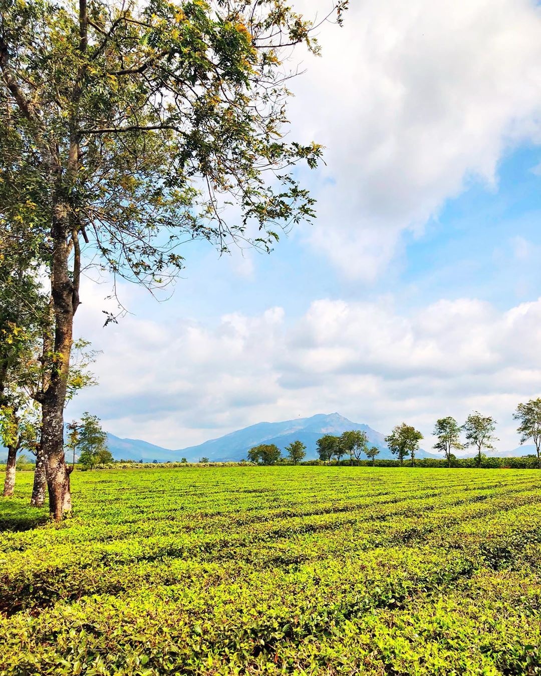 du lịch Gia Lai ảnh 17 du lich Gia Lai anh 17