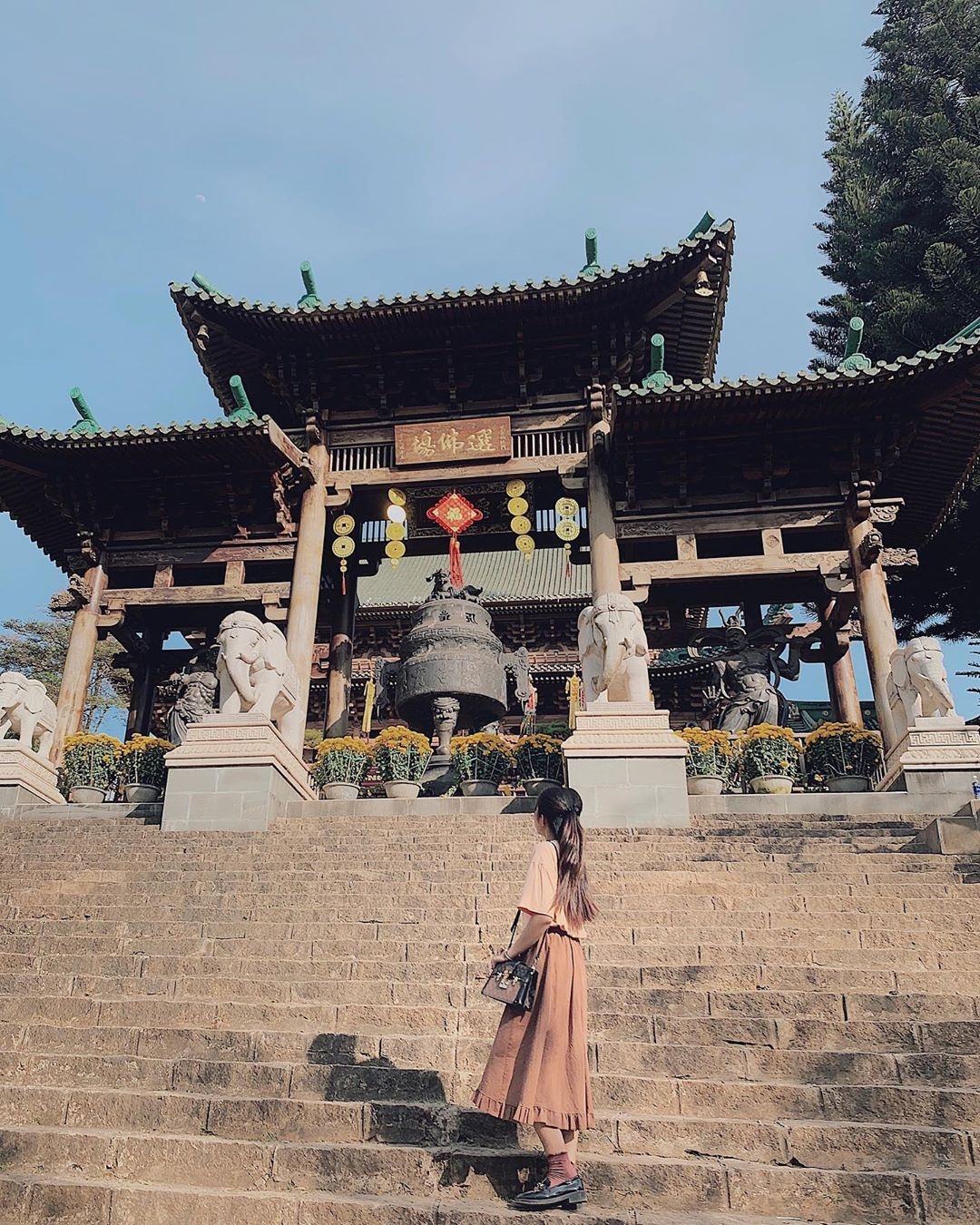 du lịch Gia Lai ảnh 4 du lich Gia Lai anh 4