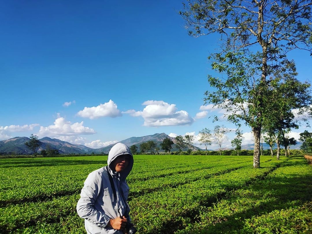 du lịch Gia Lai ảnh 15 du lich Gia Lai anh 15