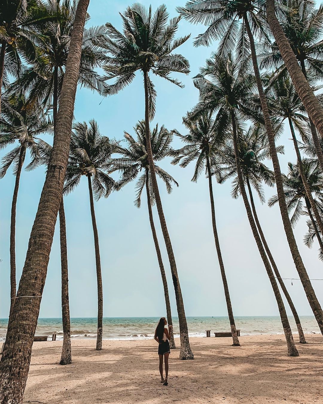 Bien Phan Thiet anh 7