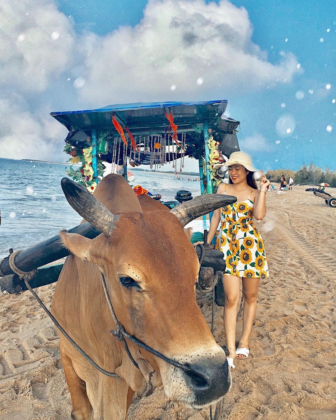 Bien Phan Thiet anh 16