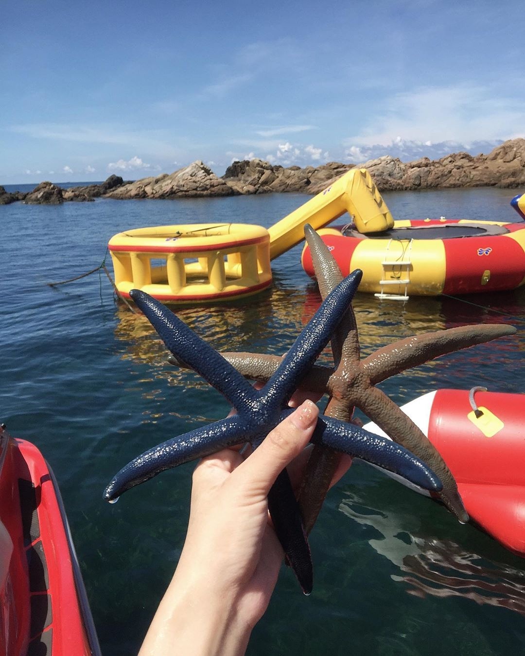 du lich quy nhon anh 13