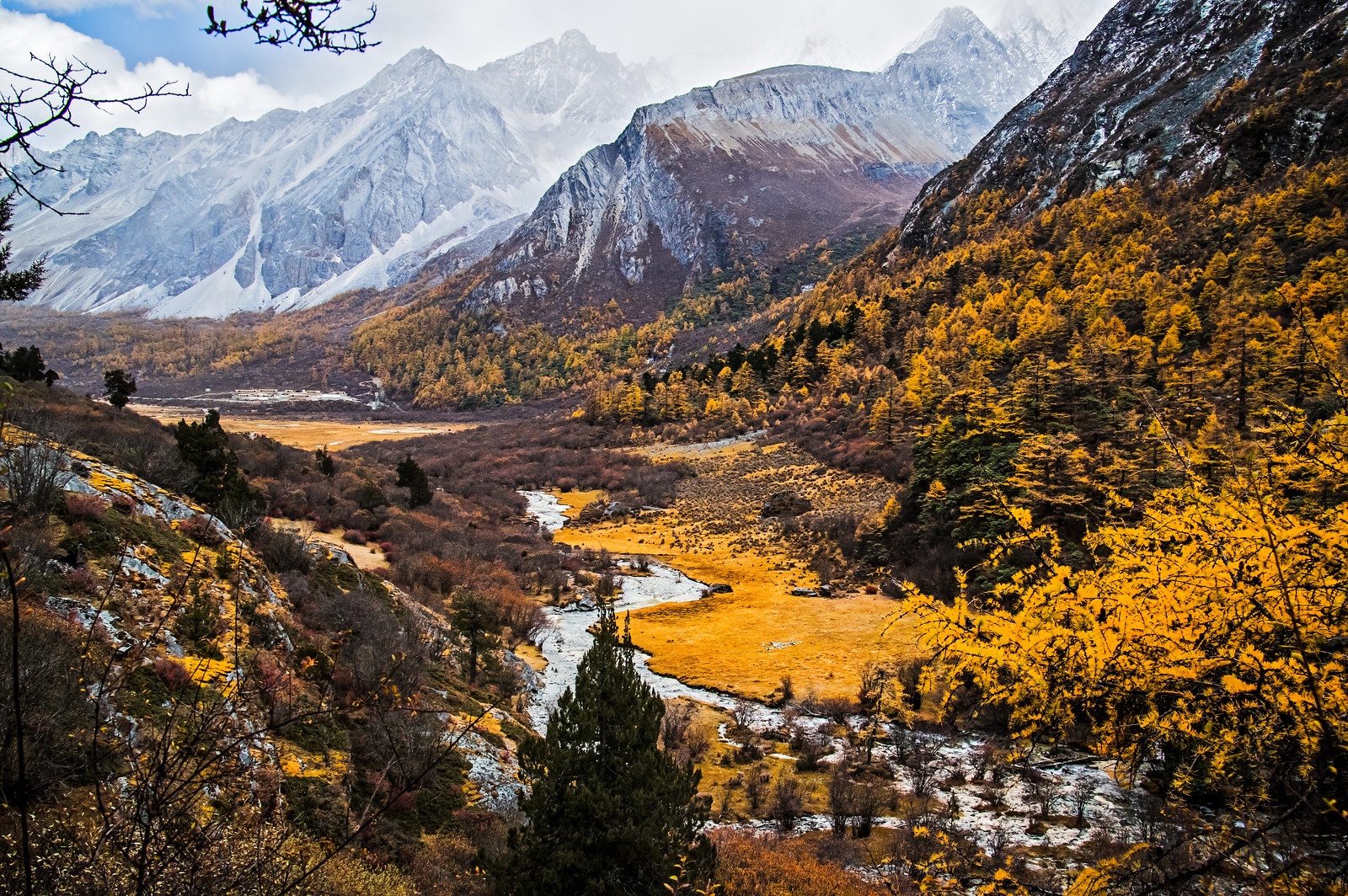 Khu bao ton thien nhien cua Trung Quoc mo cua tro lai hinh anh