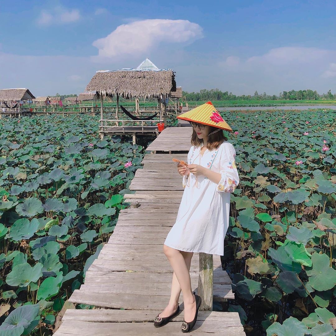 du lich Dong Thap anh 3