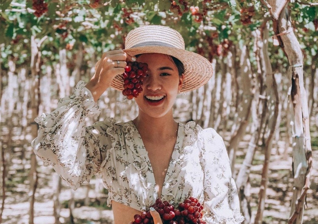 Kham pha vuon nho xanh mat, triu qua o Ninh Thuan hinh anh