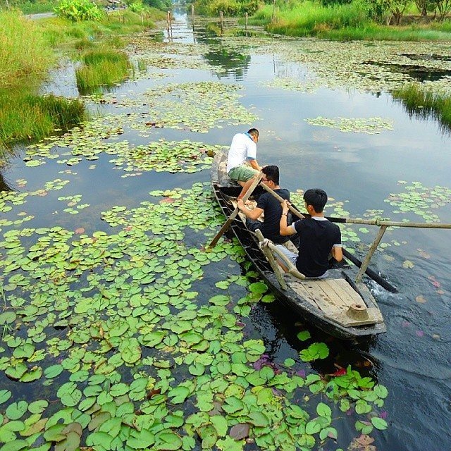 khám phá việt nam ảnh 7 kham pha viet nam anh 7