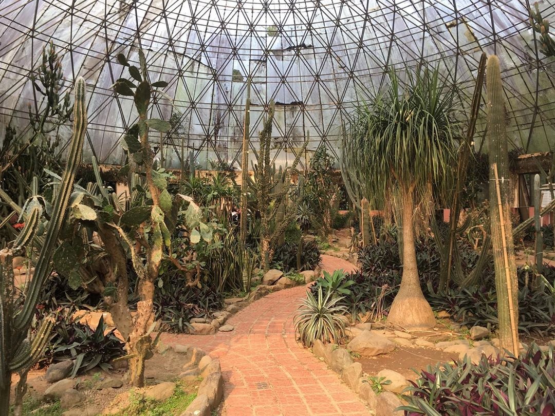 vuon xuong rong anh 1