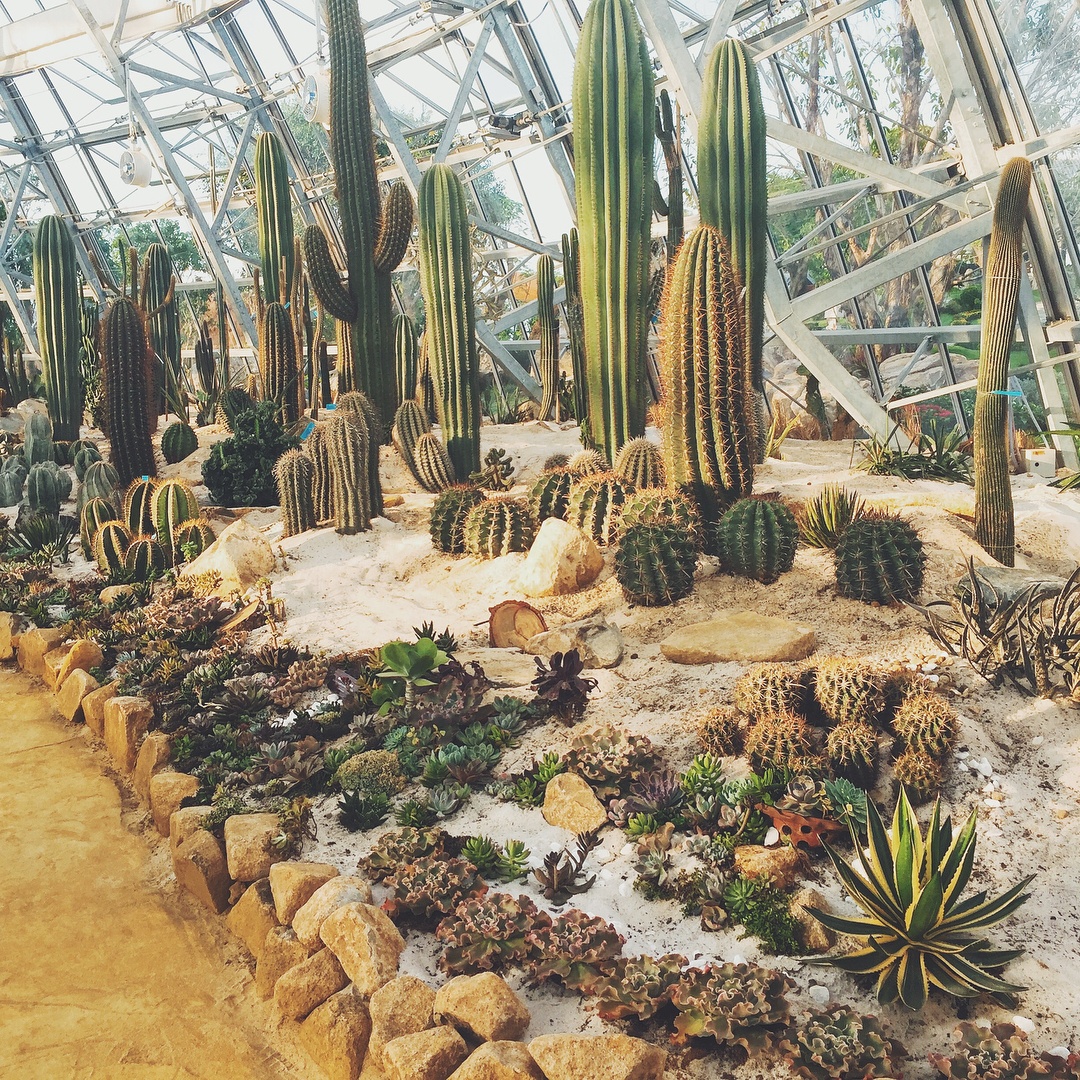 vuon xuong rong anh 7