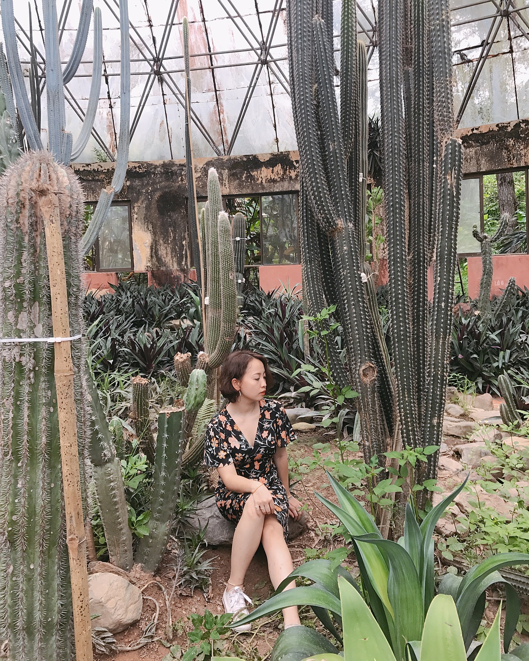 vuon xuong rong anh 3