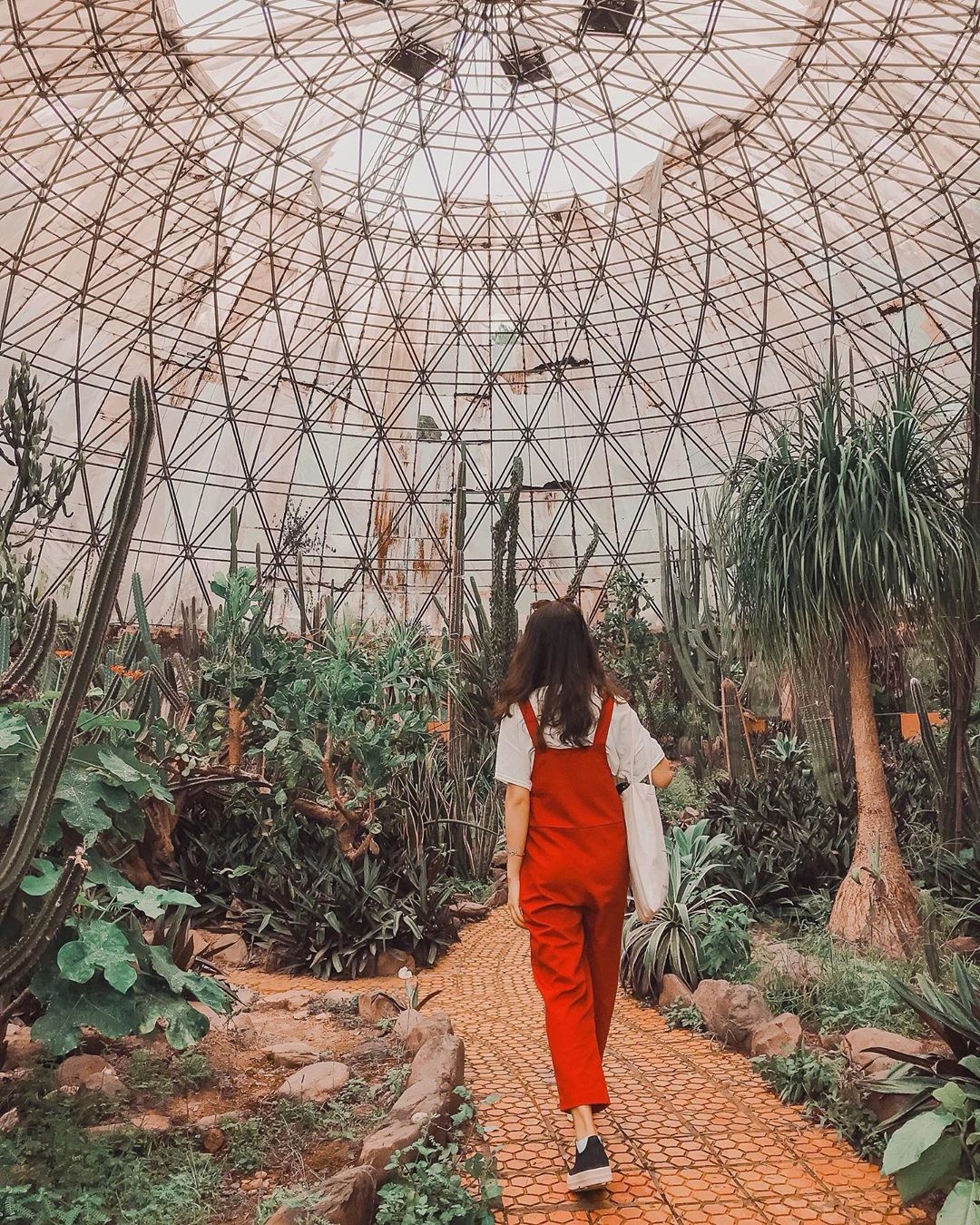 vuon xuong rong anh 2