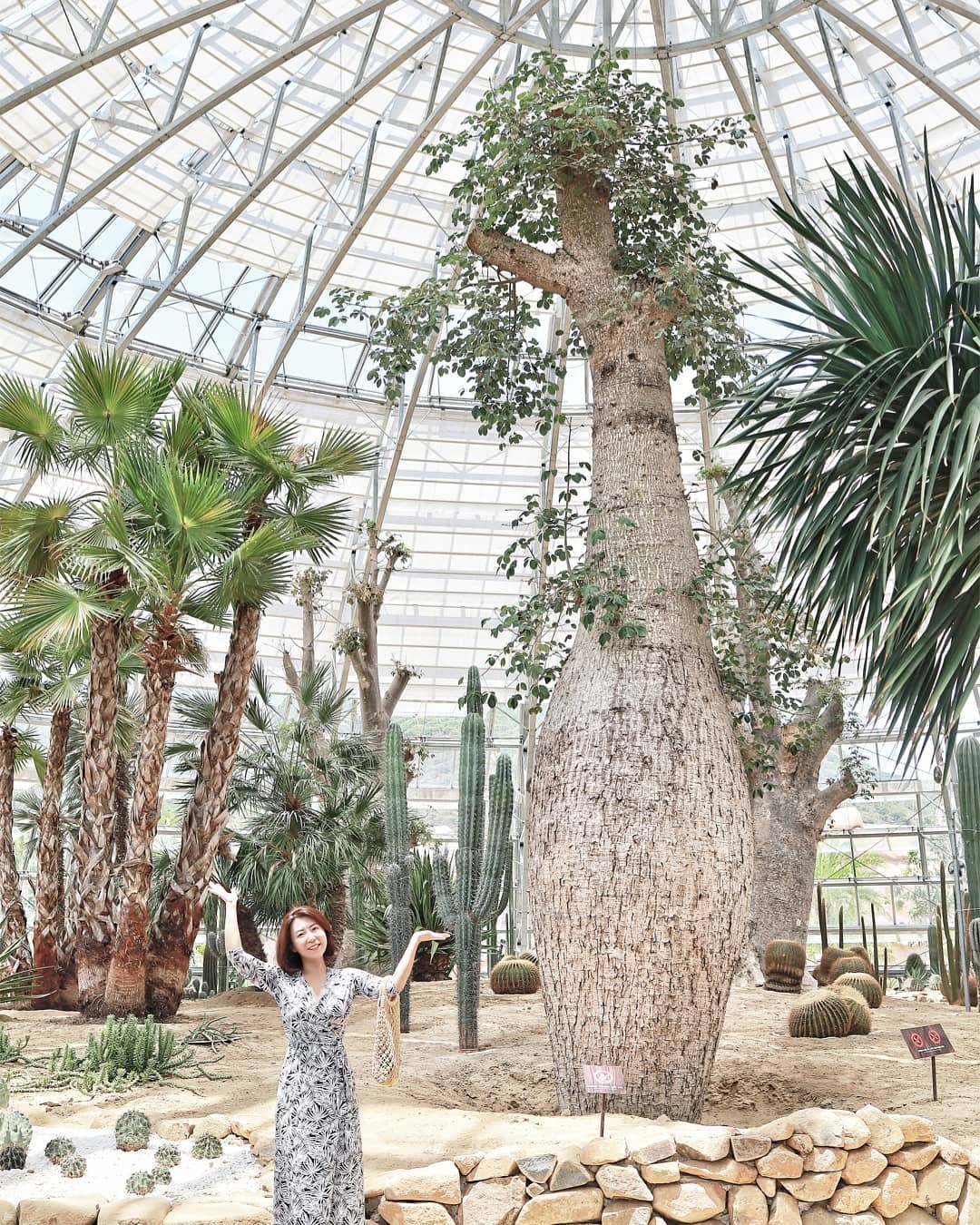 vuon xuong rong anh 6