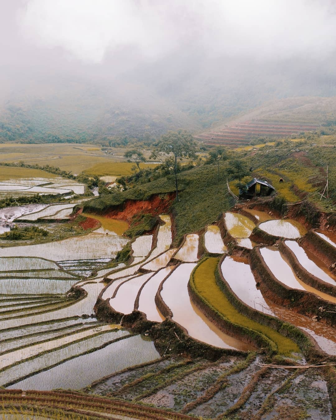 mùa nước đổ ảnh 3 mua nuoc do anh 3