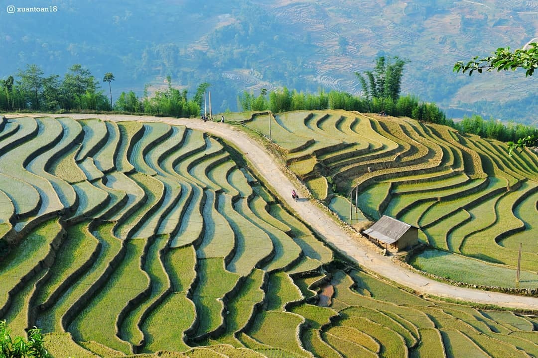 mùa nước đổ ảnh 4 mua nuoc do anh 4