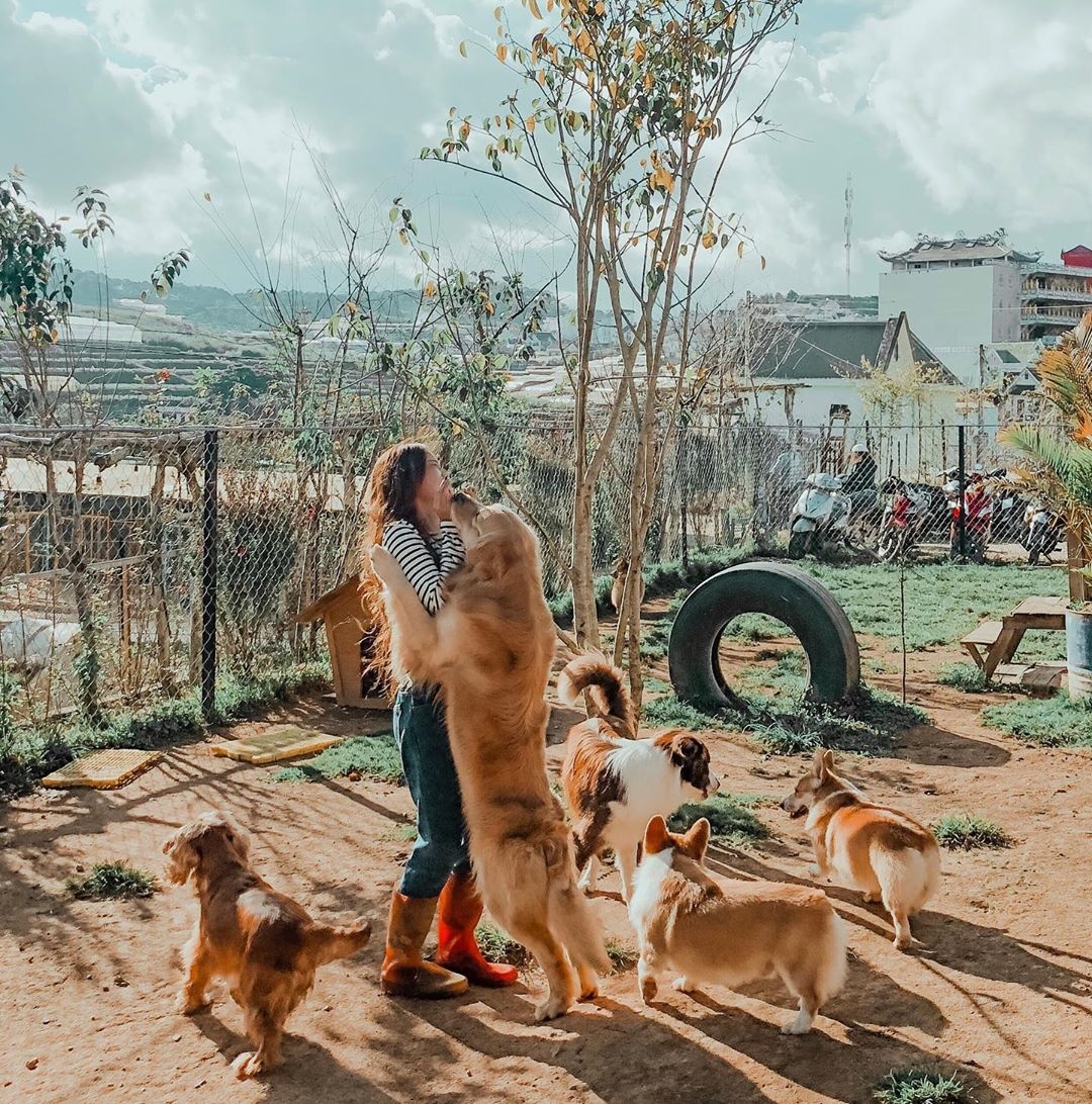 Cafe Đà Lạt ảnh 3 Cafe Da Lat anh 3