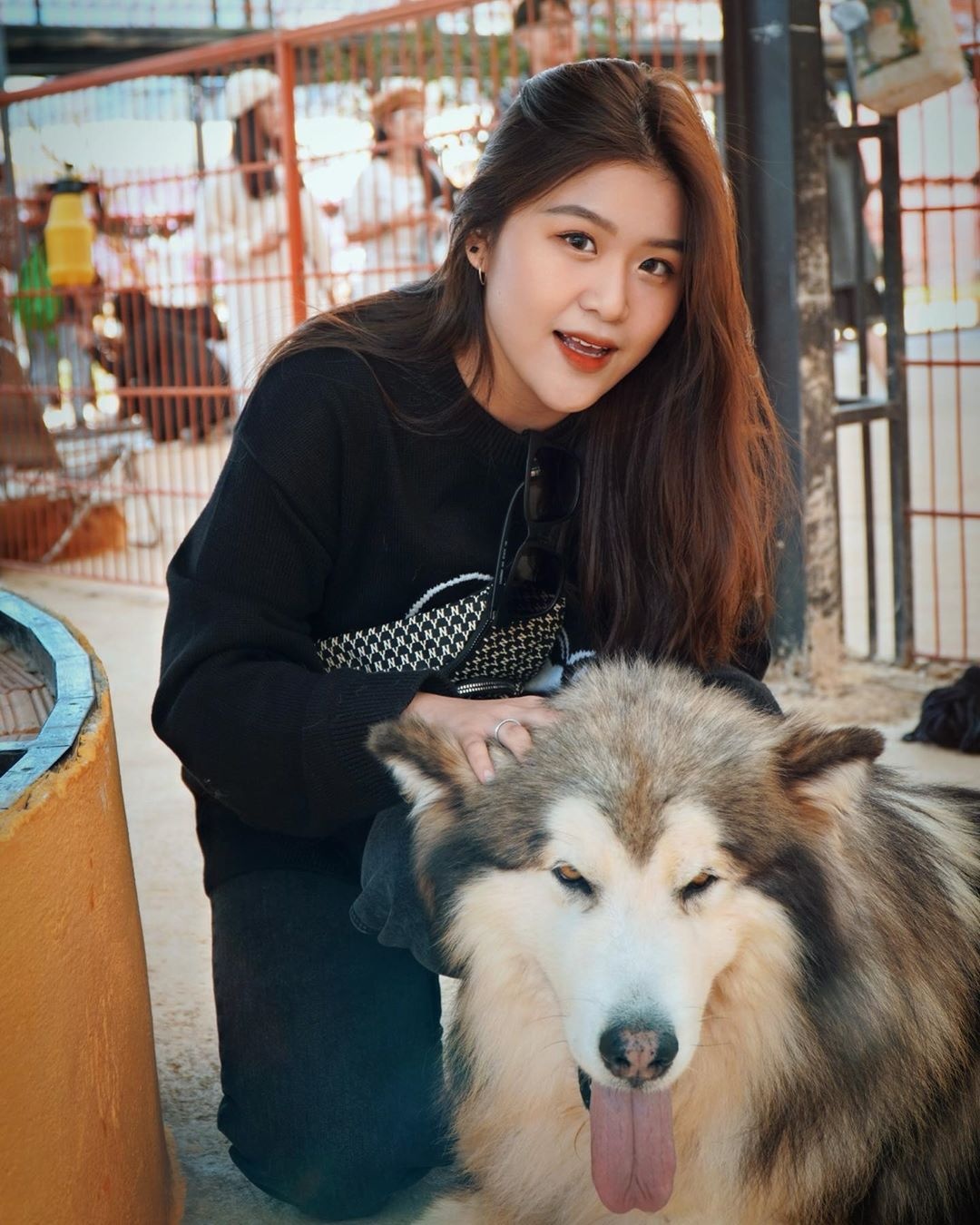 Cafe Đà Lạt ảnh 5 Cafe Da Lat anh 5