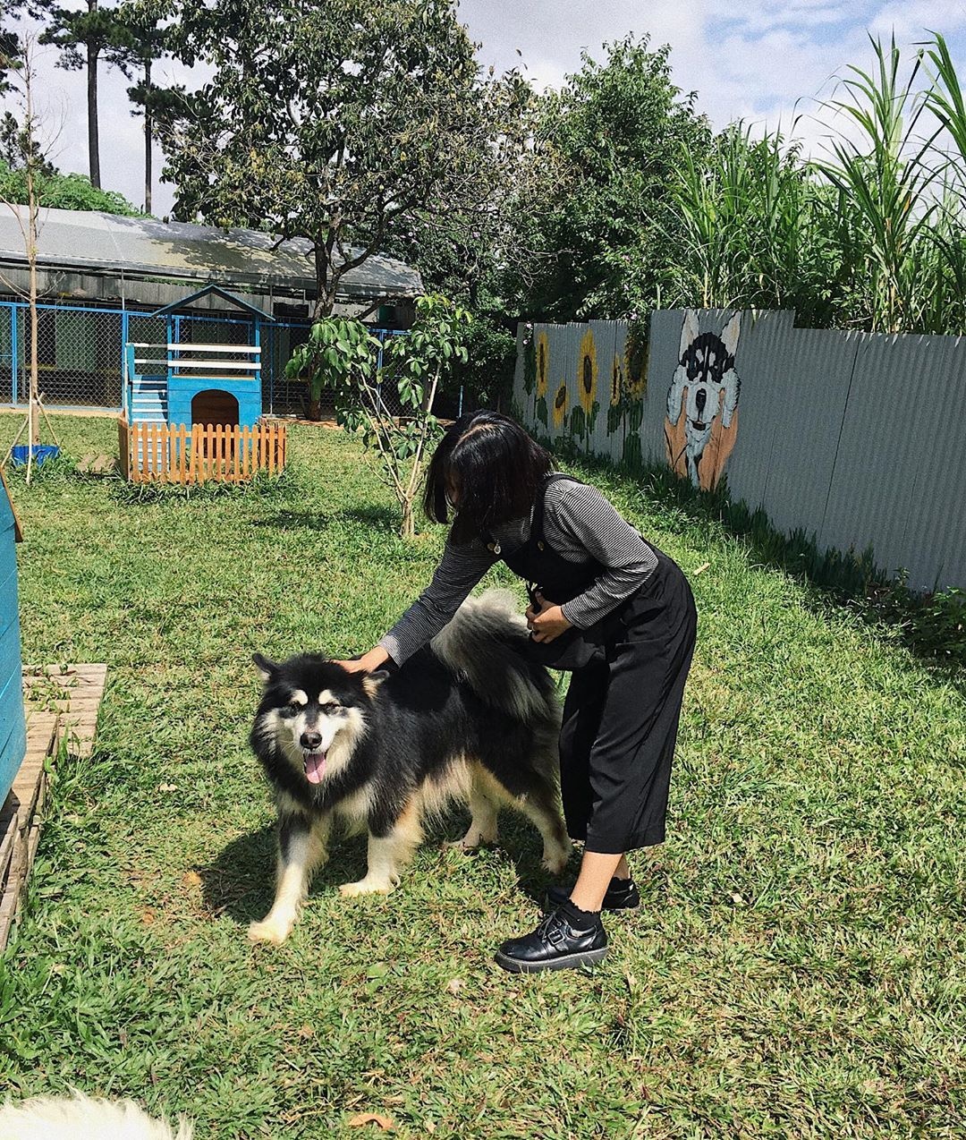 Cafe Đà Lạt ảnh 7 Cafe Da Lat anh 7