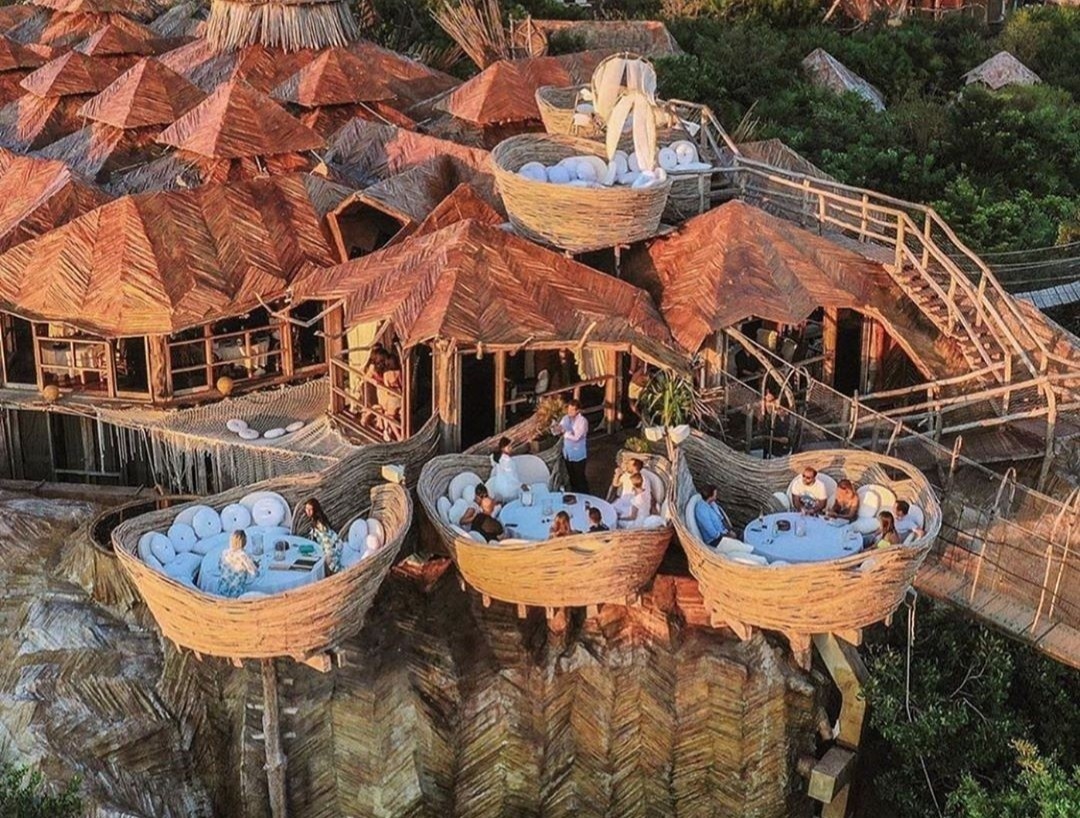 Resort tren cay view huong bien khong danh cho du khach duoi 18 tuoi hinh anh