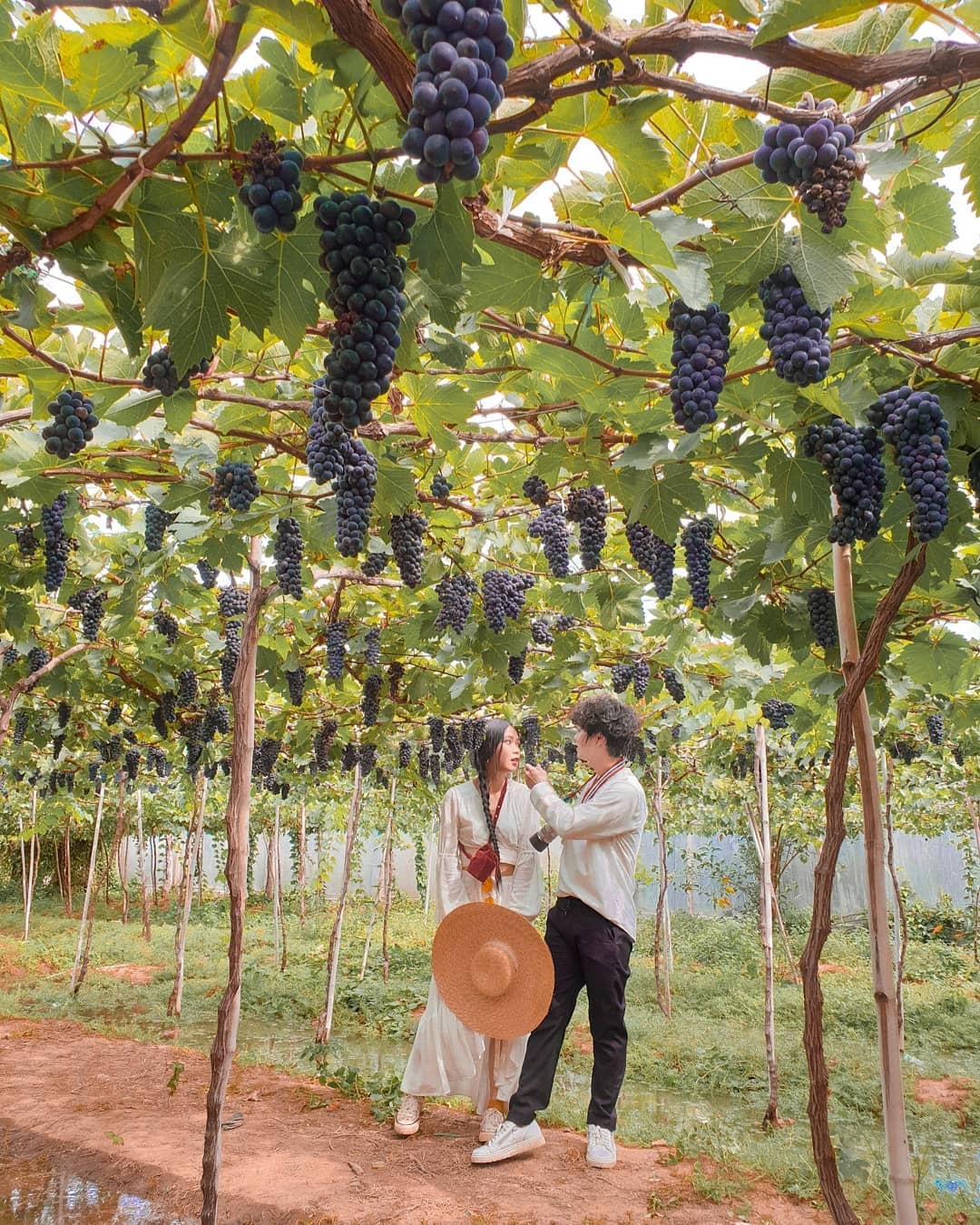 Ninh Thuận ảnh 12 Ninh Thuan anh 12