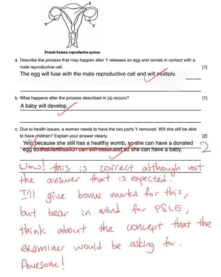 cau tra loi thong minh cua hoc sinh anh 1