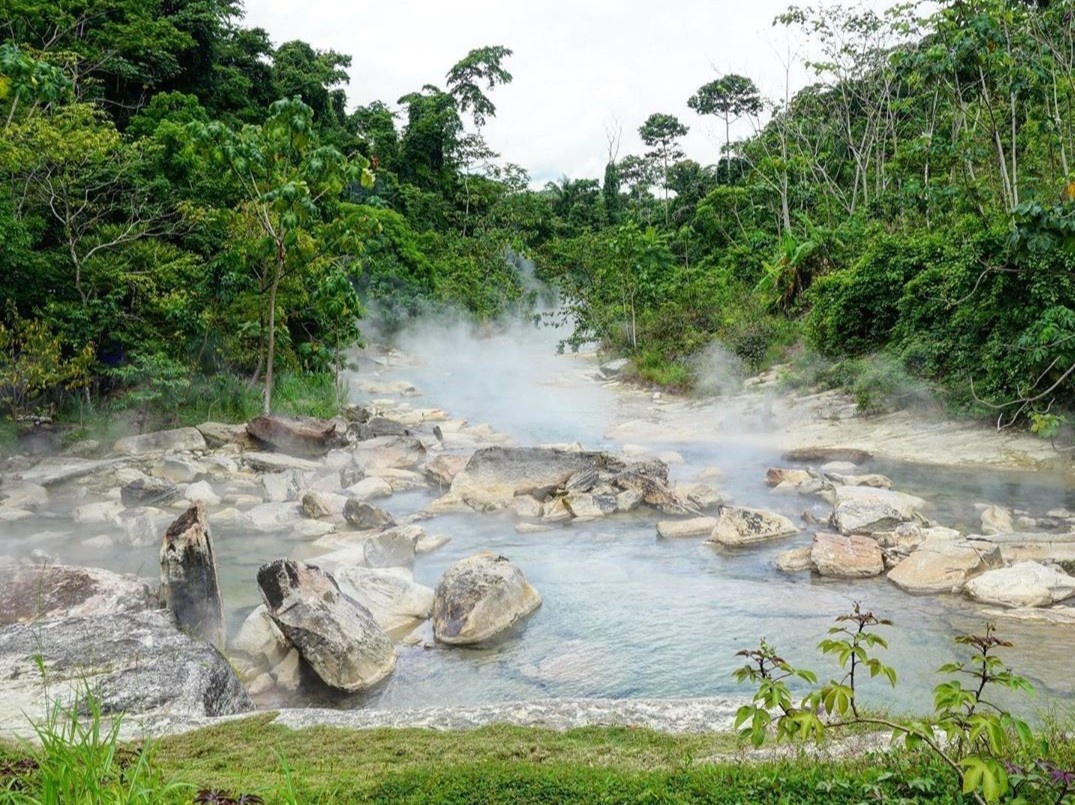 Dong song soi co the luoc chin moi sinh vat hinh anh